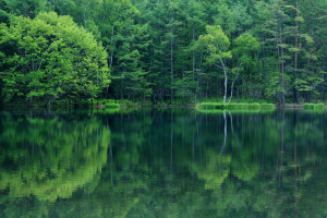 跨界联动！F1电竞携手顶流明星，引爆娱乐体育新潮流！