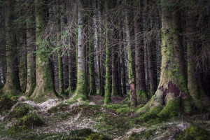 谁是下一个电竞传奇国家级大赛等你见证