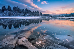 伤病阴影笼罩，MLS球队如何克服困难，重塑辉煌